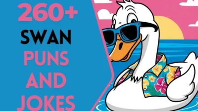 Swan puns & Jokes