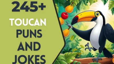 Toucan puns & Jokes