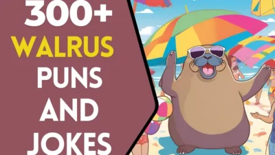 Walrus puns & Jokes