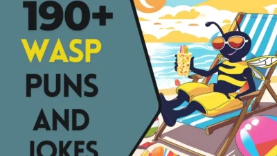 Wasp Puns & Jokes
