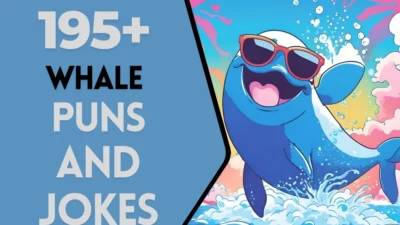 Whale Puns & Jokes