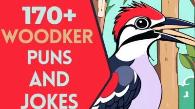 Woodpecker puns & Jokes