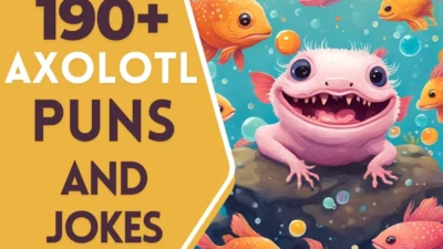 axolotl puns and jokes