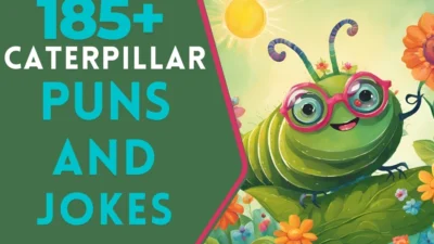 caterpillar puns and jokes