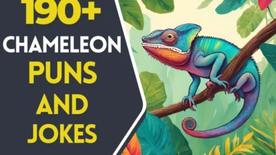 chameleon puns and jokes