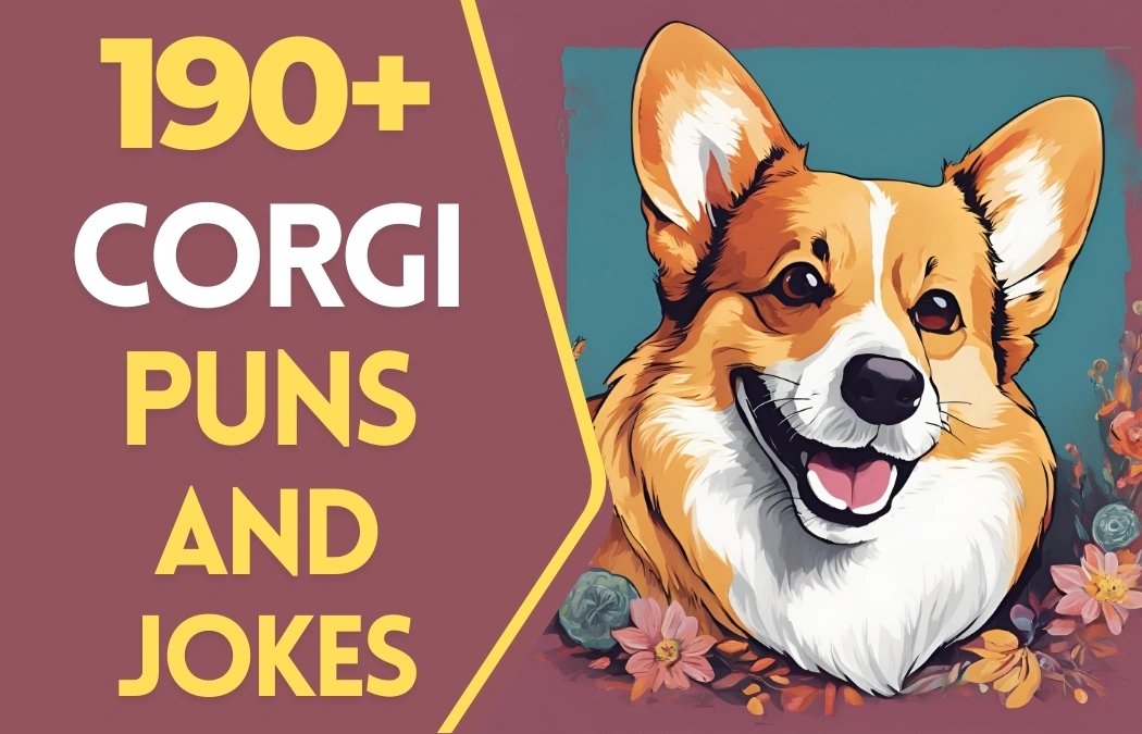 corgi puns and jokes