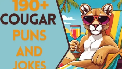cougar puns and jokes