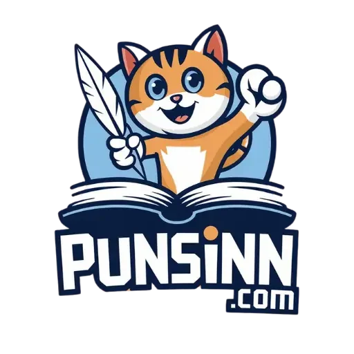 Punsinn.com