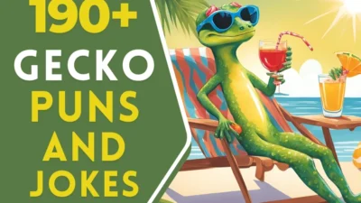 gecko puns and jokes