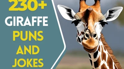 giraffe puns and jokes