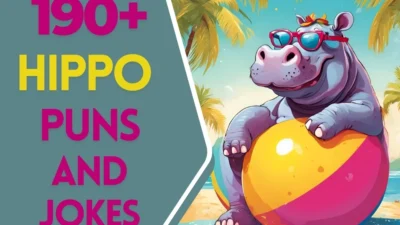 hippo puns and jokes
