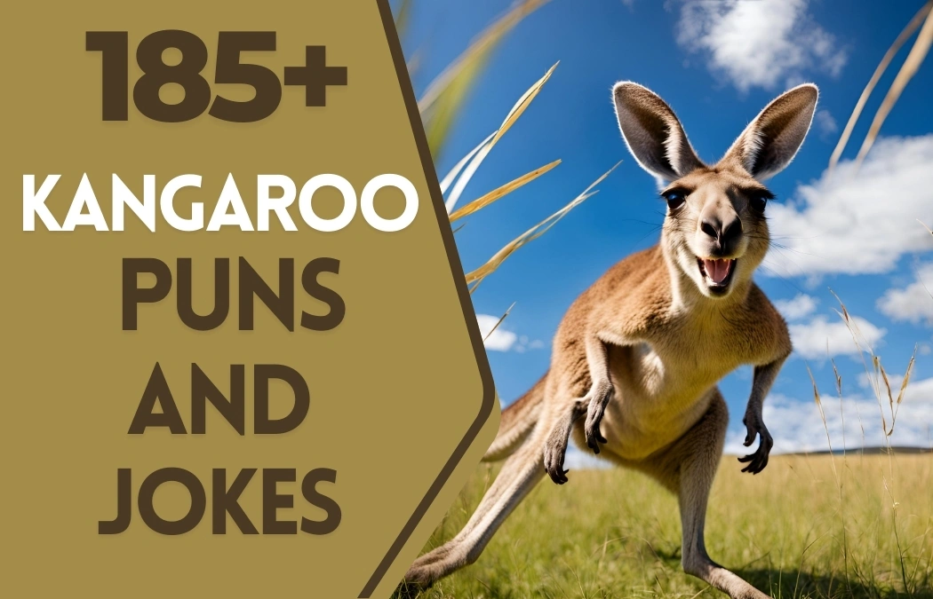 kangaroo puns and jokes