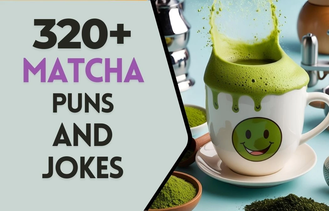 matcha puns & Jokes