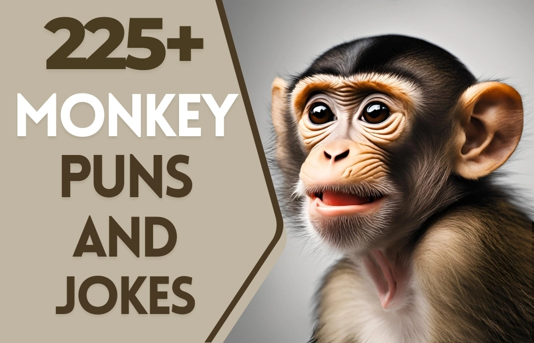 monkey puns and jokes