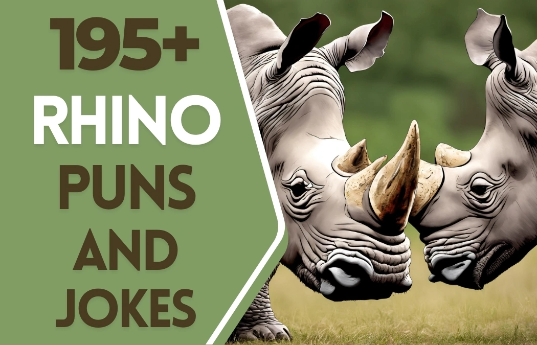 rhino puns and jokes