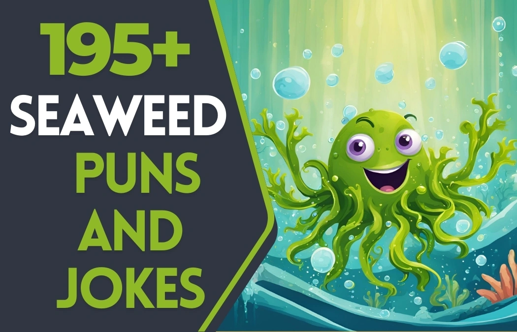 seaweed puns and jokes