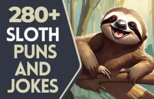 sloth puns and jokes