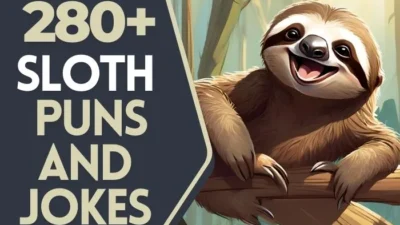 sloth puns and jokes