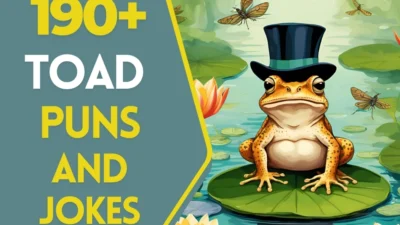 toad puns and jokes